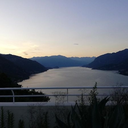 Attico With Big Terrace In Residence With Pool 발브로나 외부 사진